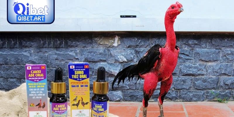 Thuốc giúp tỉnh táo và phản xạ nhanh