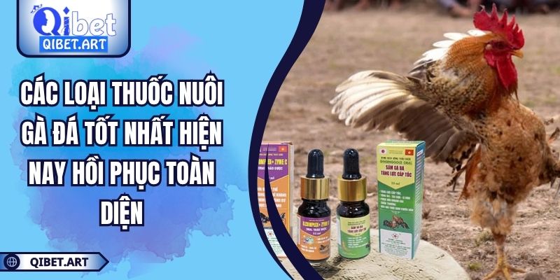Các Loại Thuốc Nuôi Gà Đá Tốt Nhất Hiện Nay Hồi Phục Toàn Diện