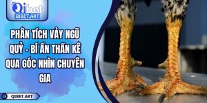 Phân Tích Vảy Ngũ Quỷ – Bí Ẩn Thần Kê Qua Góc Nhìn Chuyên Gia