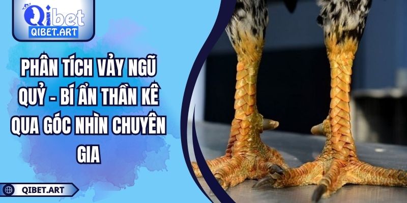 Phân Tích Vảy Ngũ Quỷ – Bí Ẩn Thần Kê Qua Góc Nhìn Chuyên Gia